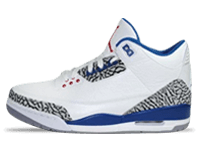 Air Jordan 3 True Blue