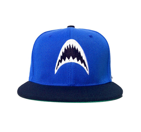 Shark Blue Snapback