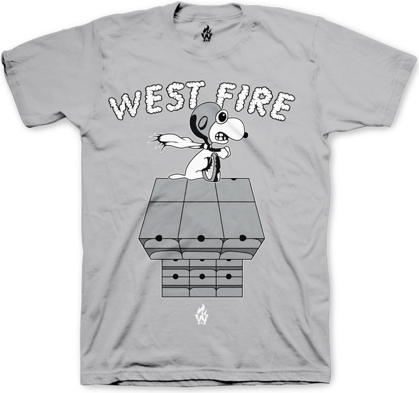 Jordan 9 Baron Shoebox Baron Silver T Shirt